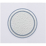 ПАНО ОКАЧЕН ТАВАН ГИПСОВО С ПВЦ СТАНДАРТ 0.36м2 /10БР СТЕК/ VEDE